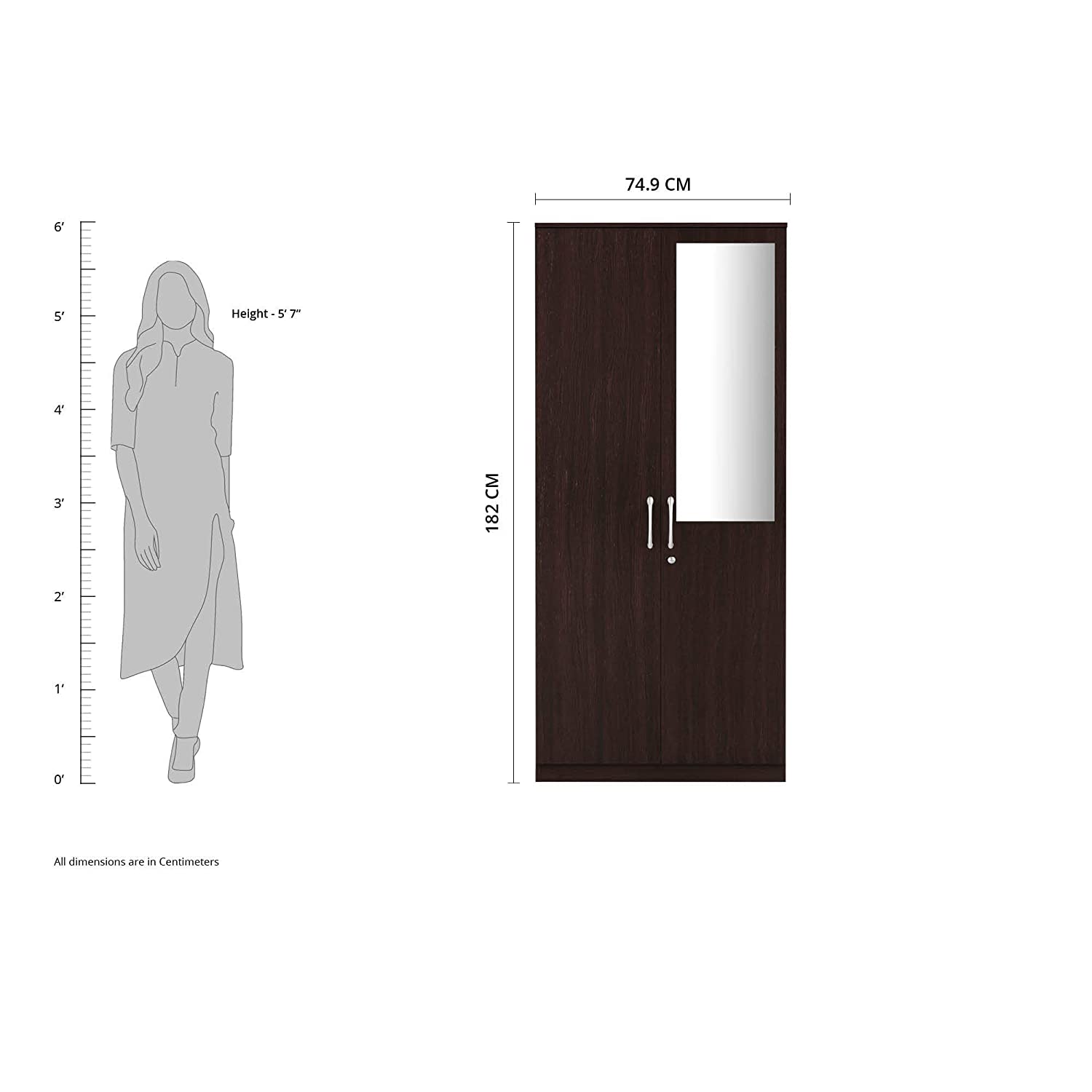 Tuffio Medusa Engineered Wood Wardrobe Wenge Finish - Oak Inside