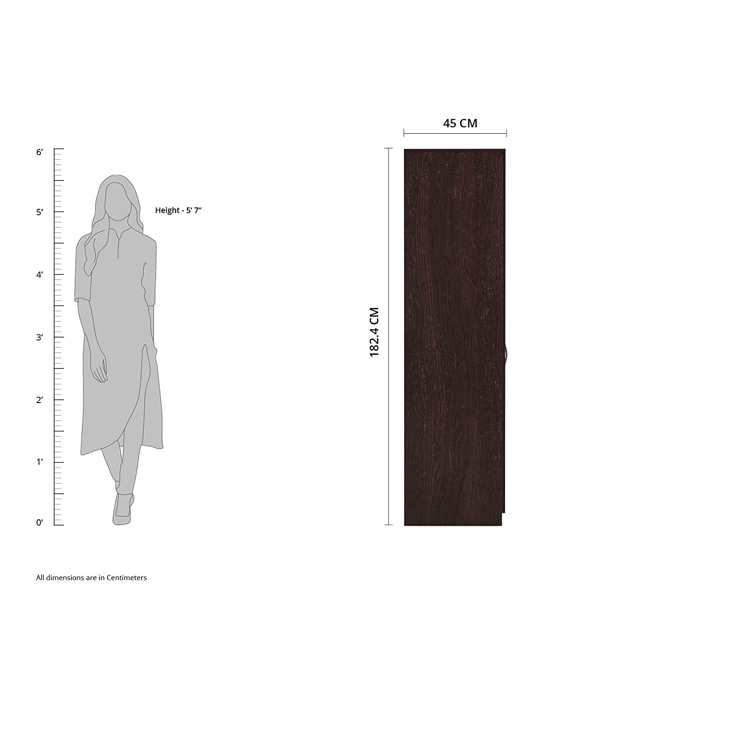 Silly Medusa Engineered Wood Wardrobe Wenge Finish - Oak Inside