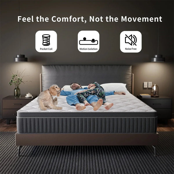 Coil Spring Mattress By Inside Nest - 8 Inches