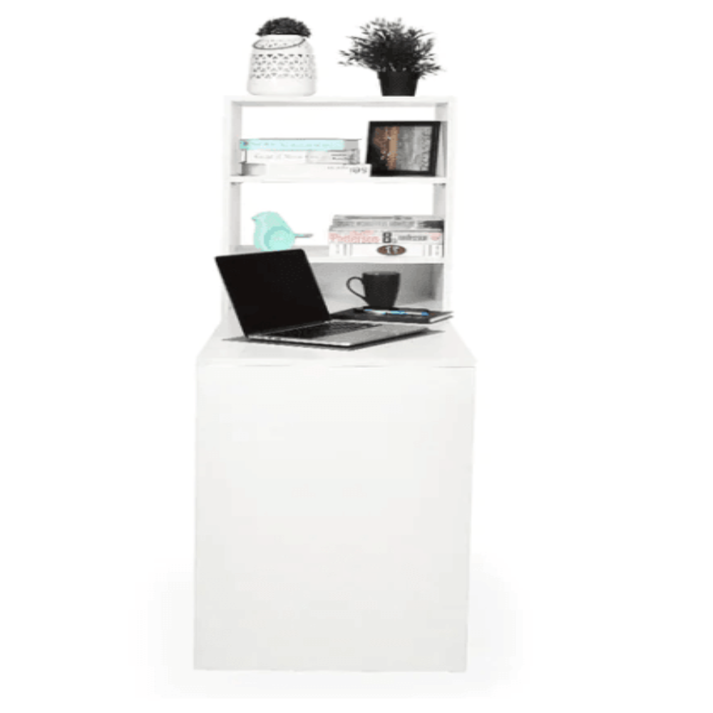 Dollar Study Table in White Colour - Oak Inside